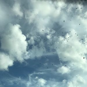 Meet your Posher, Steph